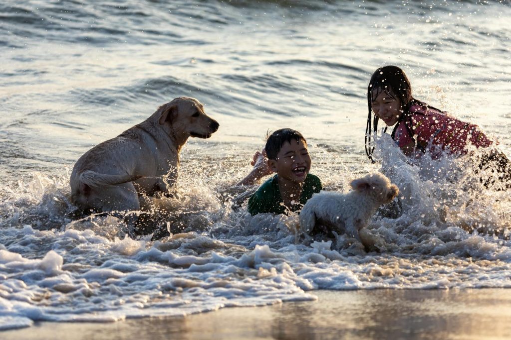 Niños y perros jugando juntos en la orilla de la playa