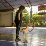 Entrenador ayudando a un perro a saltar a través de un aro durante una sesión de entrenamiento