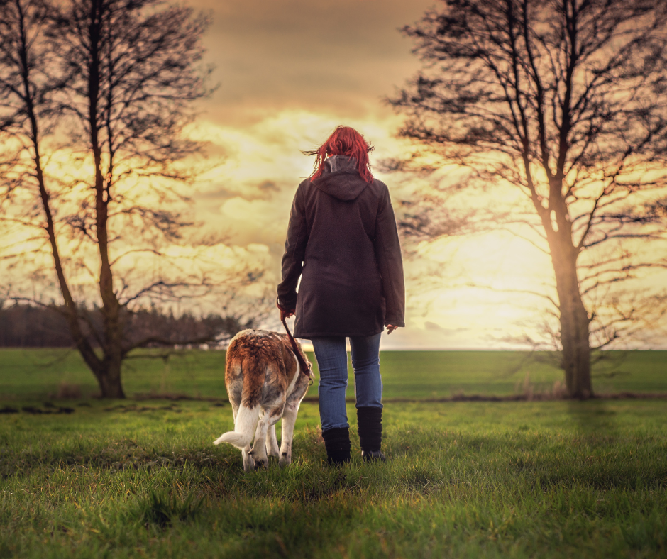 Mujer y su perro paseando por un campo al atardecer, disfrutando de la tranquilidad de la naturaleza