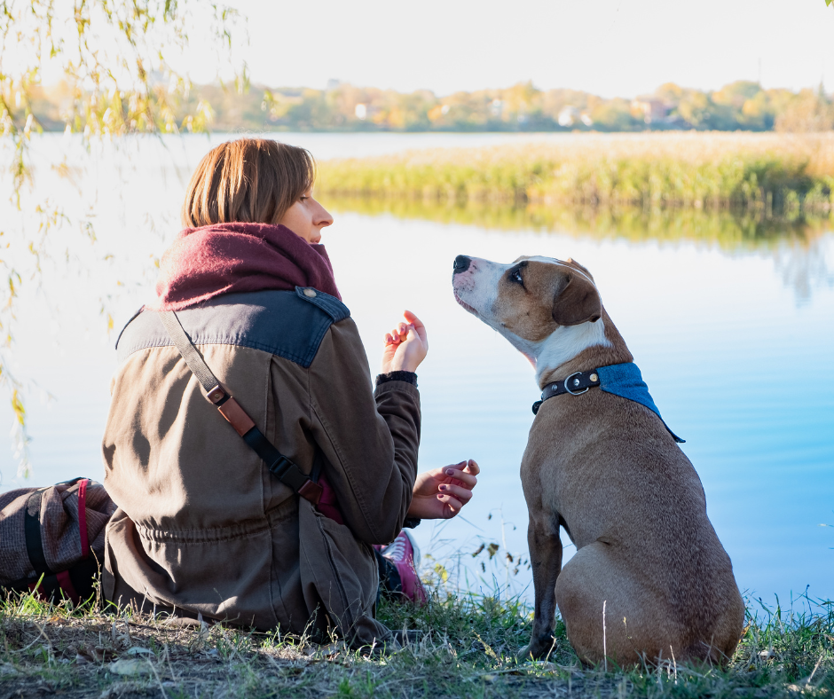 Joven mujer y su perro compartiendo un momento de conexión en la orilla de un lago tranquilo.